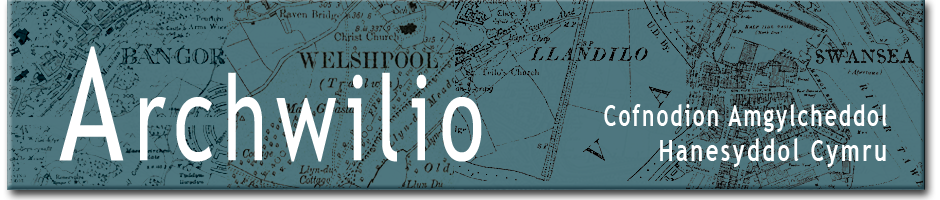 Archwilio banner