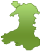 Homepage icon