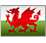 Welsh text